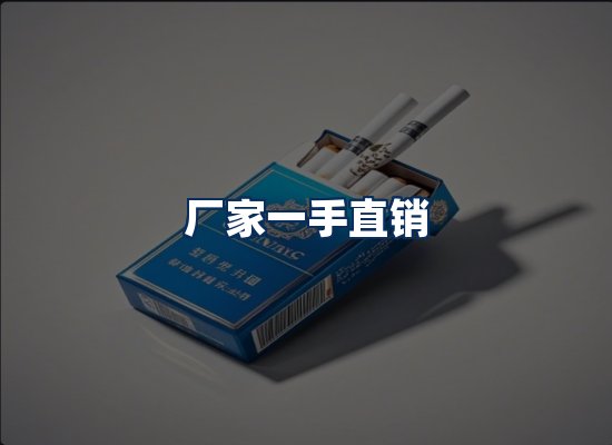 专业团队办公环境